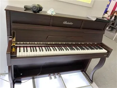 Beisite, Los Angeles, ABD'deki Alaheim Enstrüman Sergisinde Enstrümanları Ser...